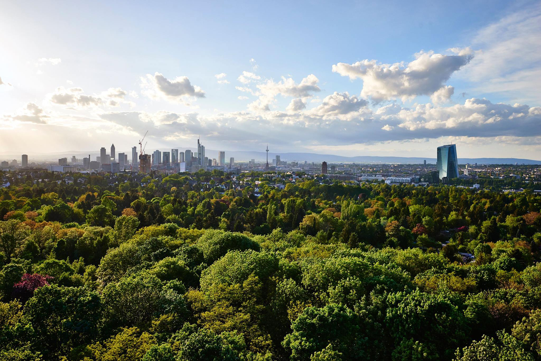 Зеленый город это где. Парк Грюнебург во Франкфурте. Frankfurt City Forest Франкфурт-на-Майне. Зеленый пояс Германии. Франкфуртский городской лес.