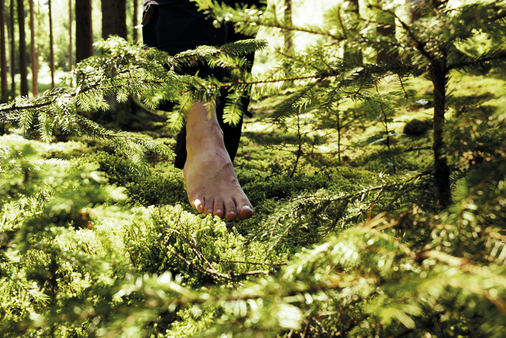 Brasilianerin Mutter Wald Doppelter