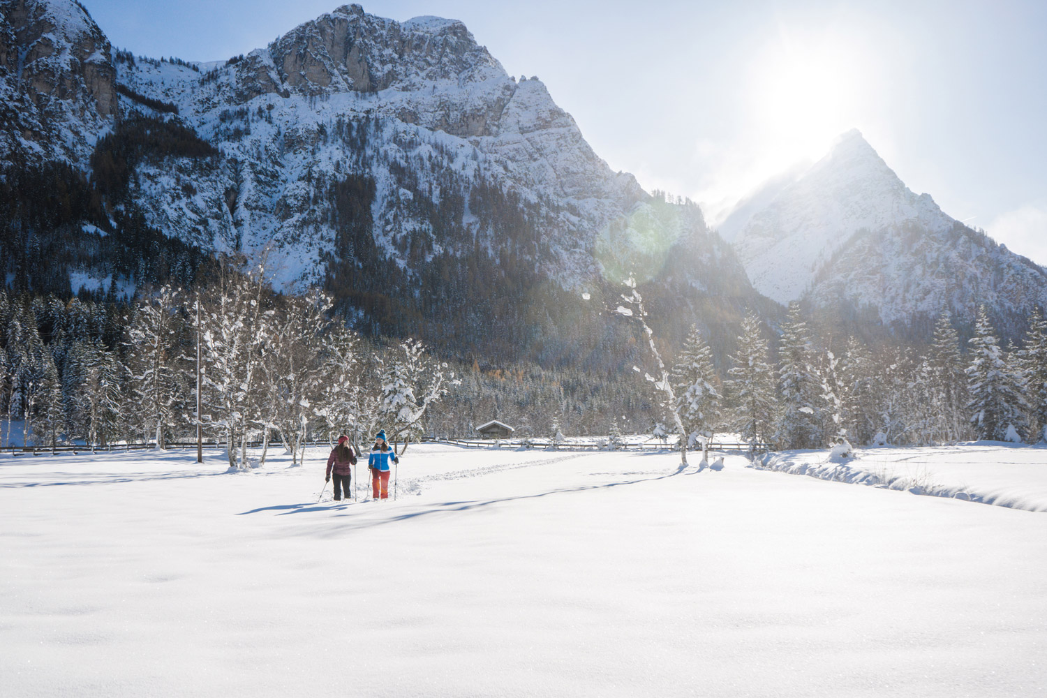 Schneeschuhwandern an den Lahnwiesen bei Trins © Tourismusverband Wipptal