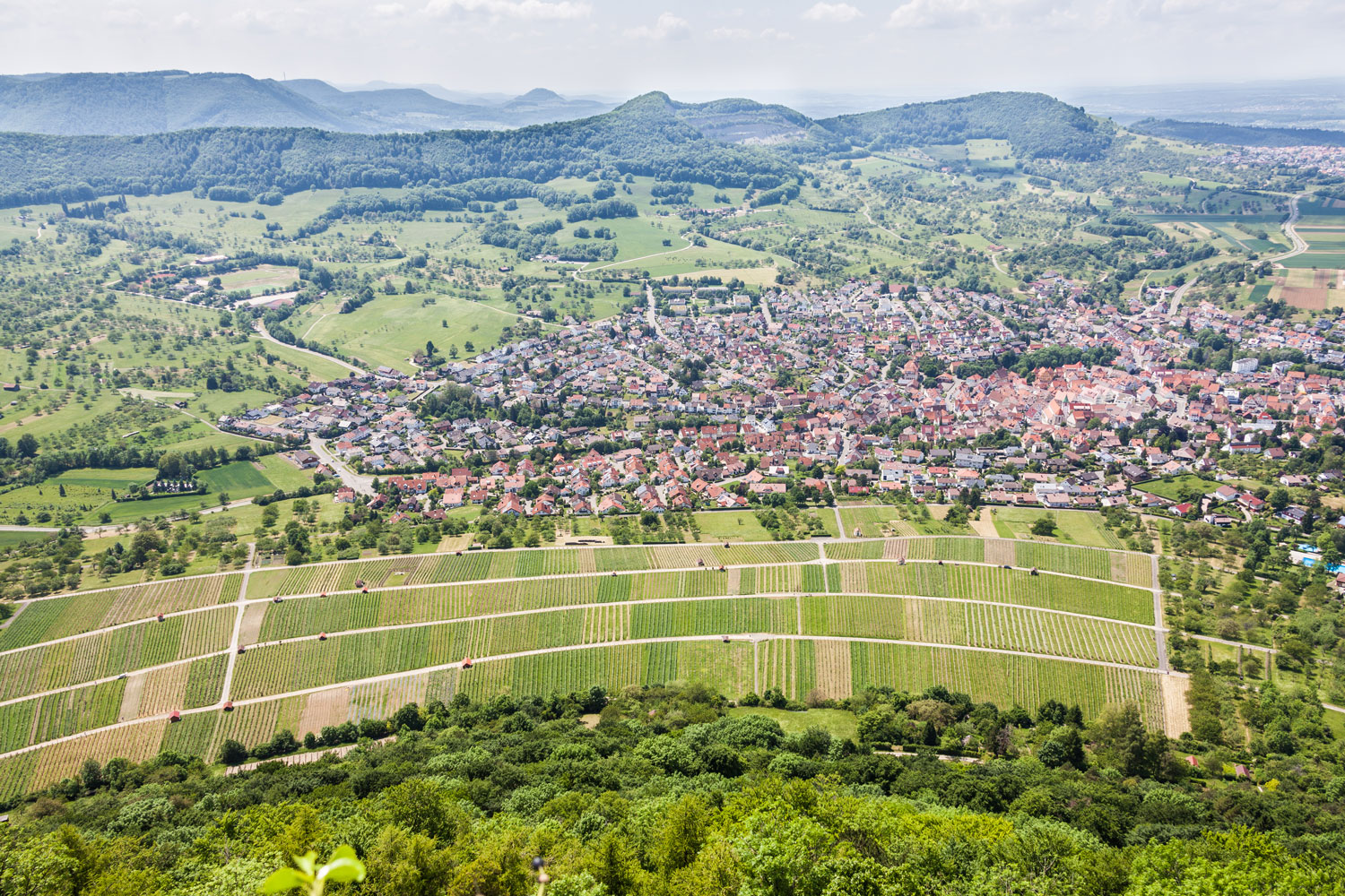 Ausblick vom Hohenneuffen auf die Neuffener Weinberge © hochgehberge, Angela Hammer