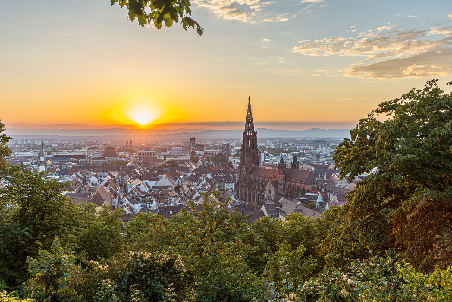 Ausblick über Freiburg vom Kanonenplatz aus © FWTM