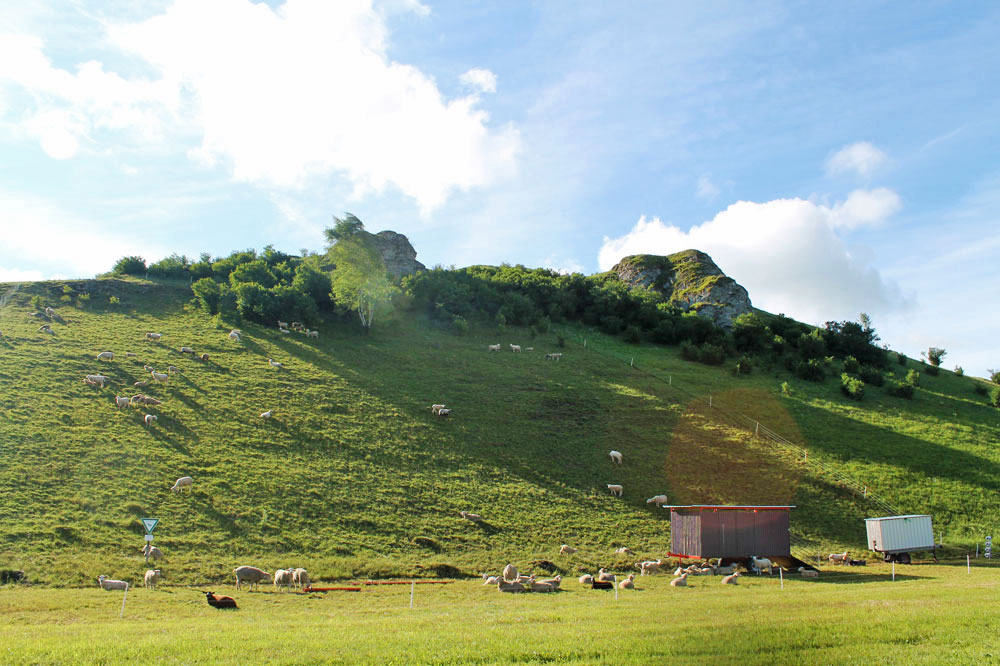 Von dem einstigen Schwammriff im Jurameer ist heute ein begrünter Kalkfelsen übrig geblieben.  © Gemeinde Sonnenbühl
