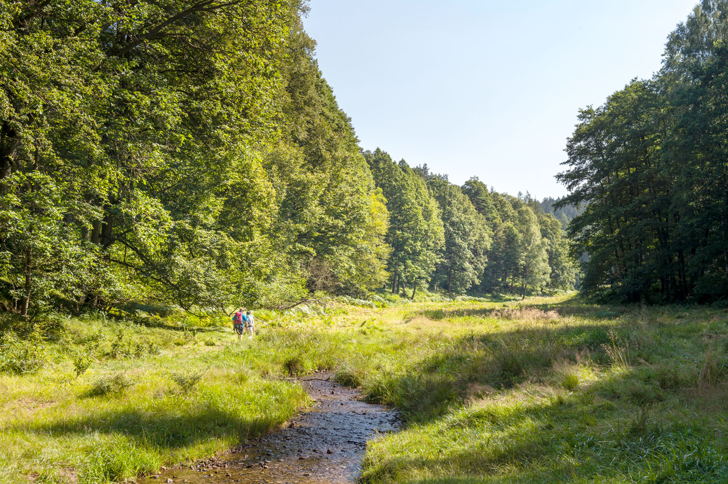 Wandern rund um Bad Orb, wie z. B. durch das idyllische Haseltal auf dem Spessartweg 3 © Bad Orb Kur GmbH