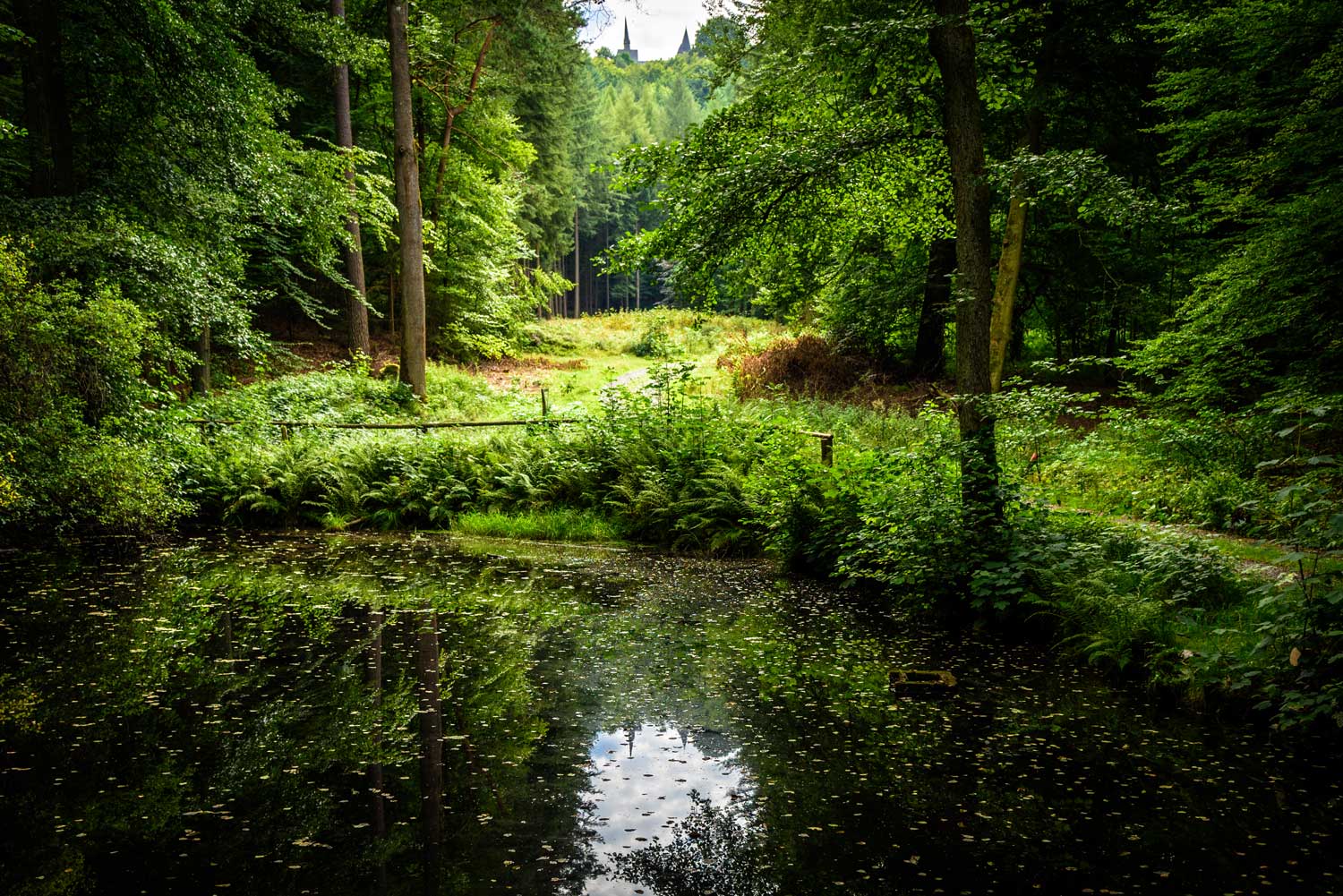 Pure Idylle am Spiegelteich © Hans-Peter Hardt