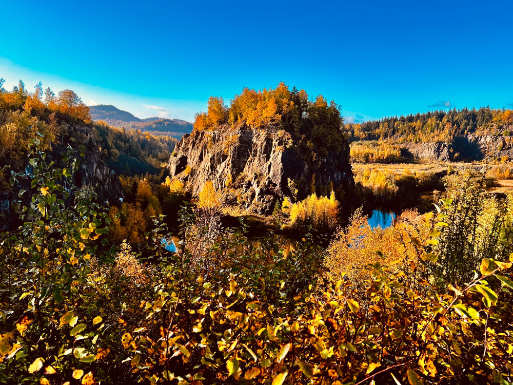 Der Brutfelsen leuchtet in Herbsttönen © Jarle Sänger