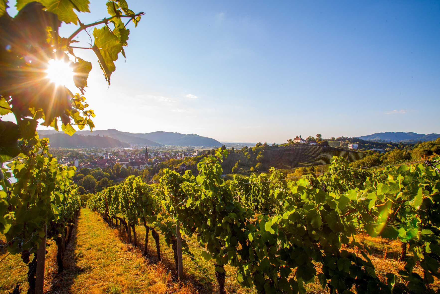 Blick auf Gengenbach © Weinmanufaktur Gengenbach