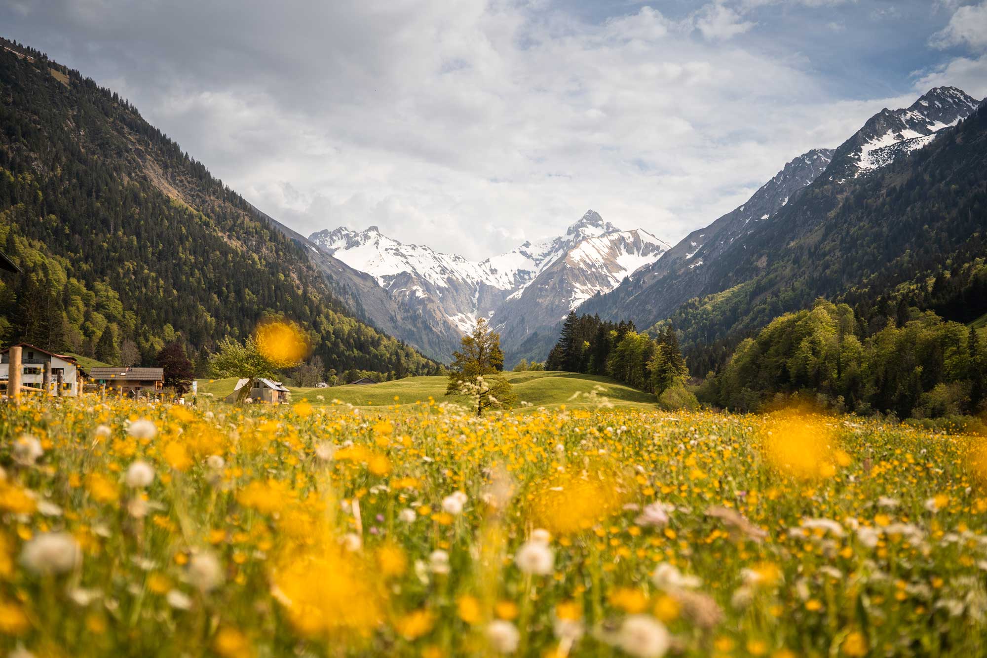 Frühling im Trettachtal © Tourismus Oberstdorf/Eren Karaman