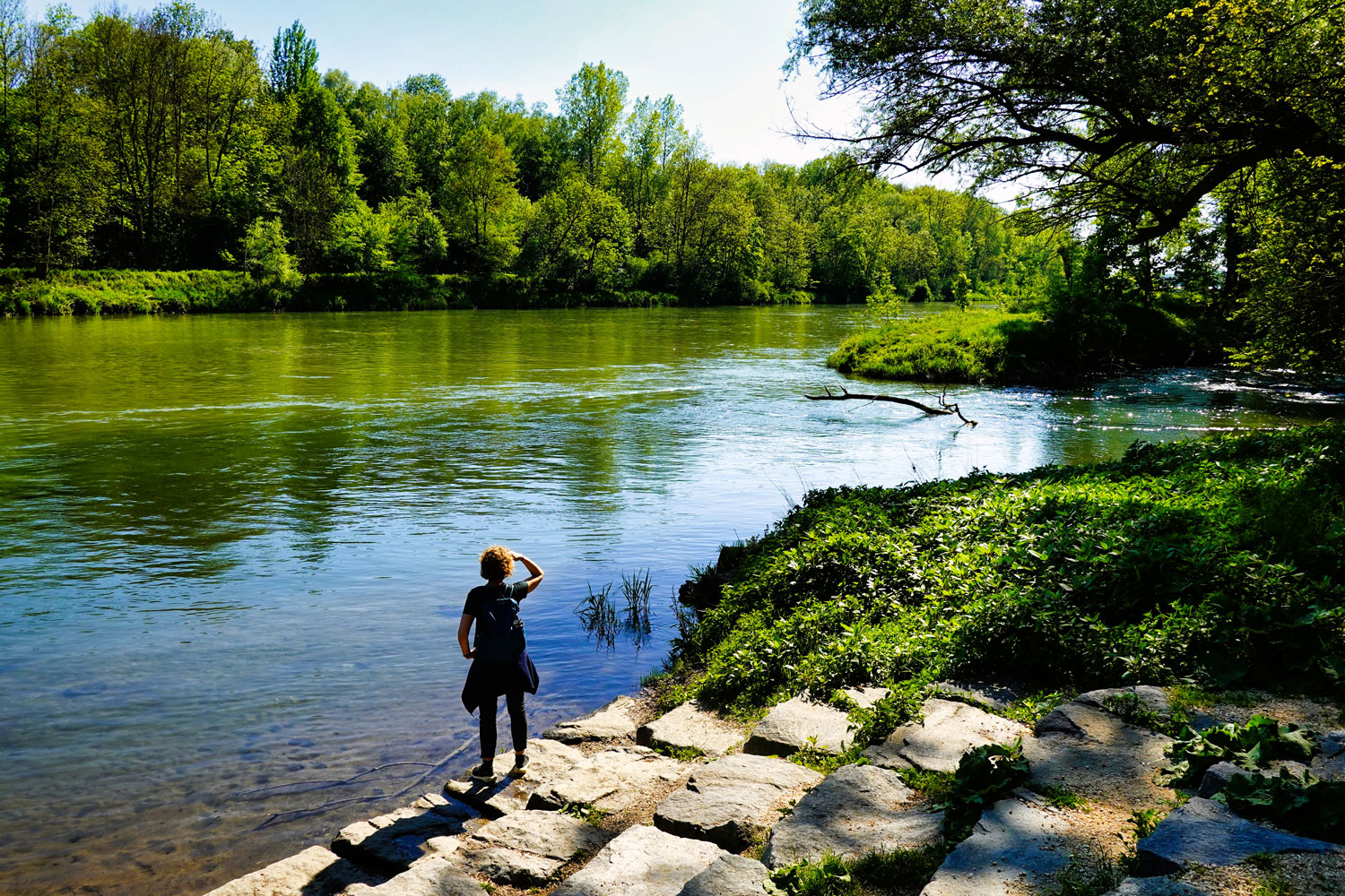 Wasserszenen an und abseits der Donau auf dem DonAUwald-Wanderweg genießen © Hurra Draußen