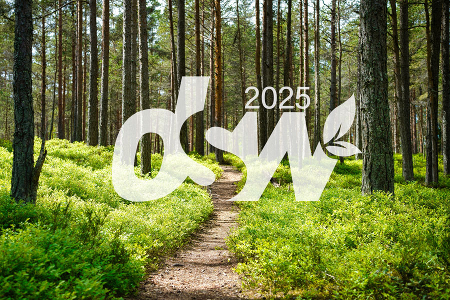 Die Gewinnerwege für 2025 stehen fest © unsplash