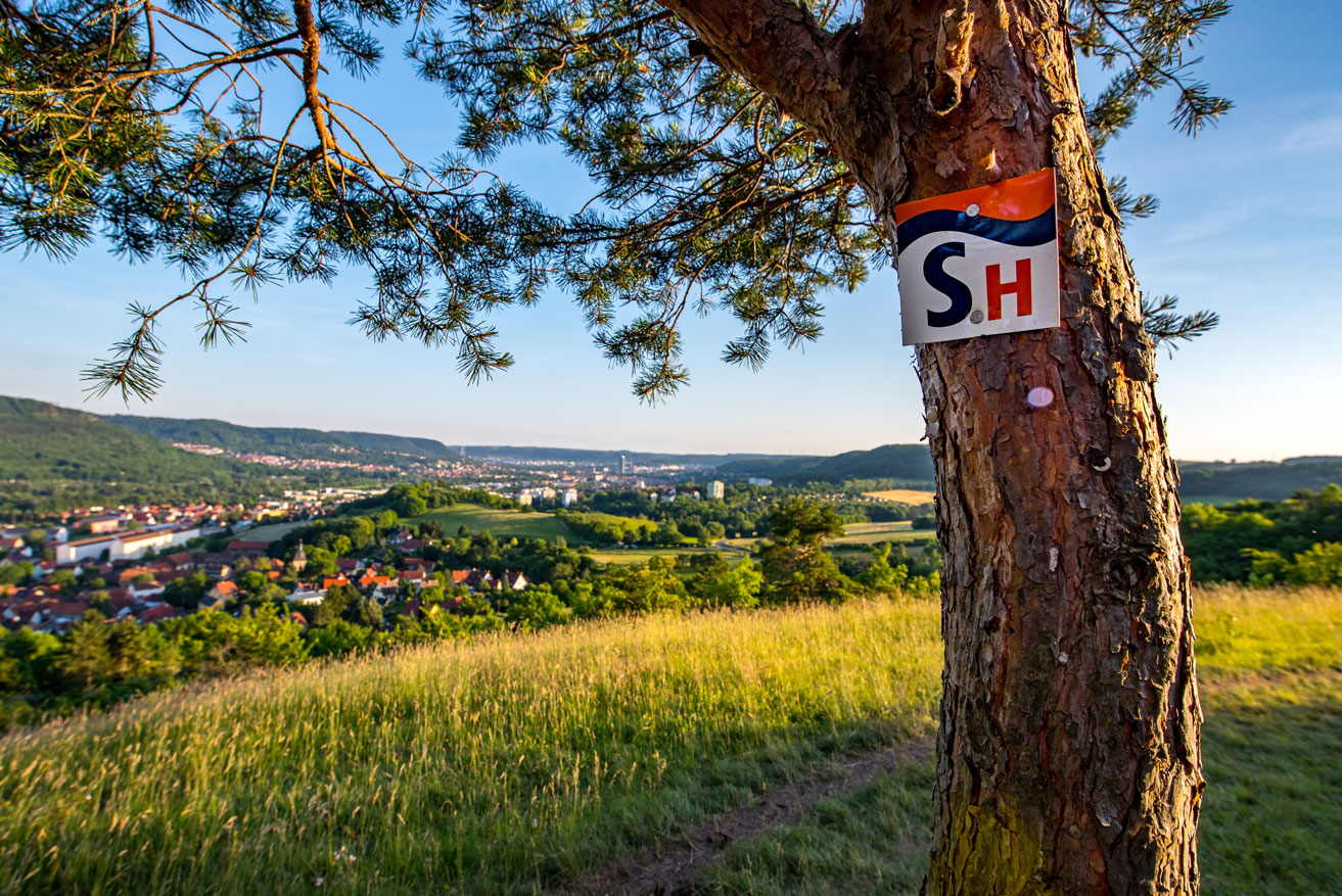 Im Grünen und unweit der Stadt: Auf der SaaleHorizontale lässt sich beides gut kombinieren. © JenaKultur, Christian Häcker