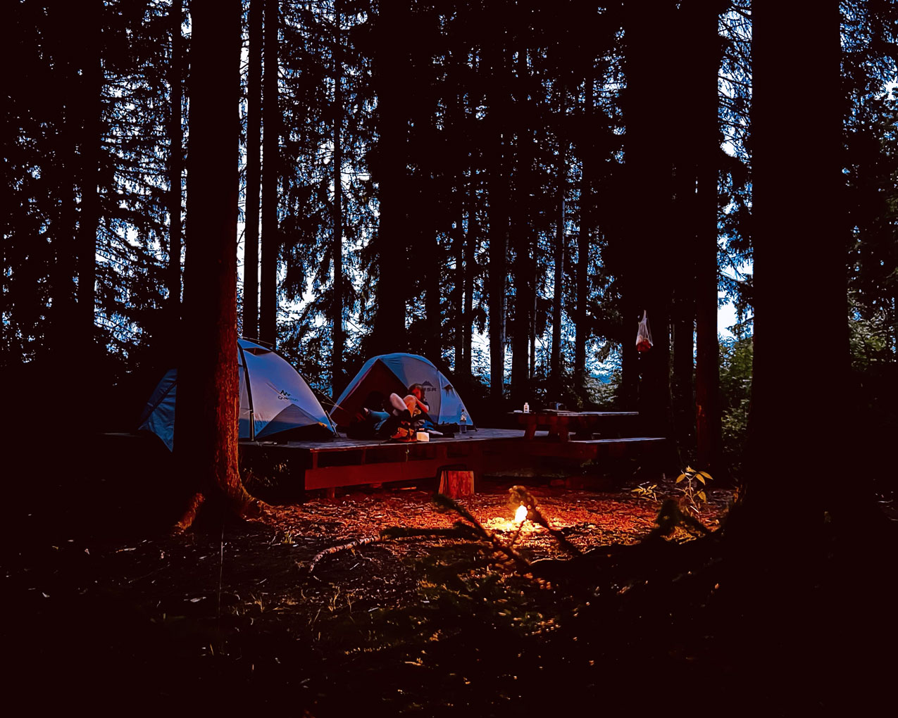 Heimelig ists, auf der Trekkingplattform im Kiefernwald Alle Fotos © Jarle Sänger