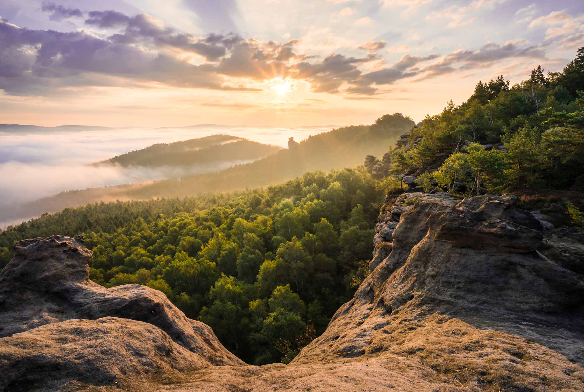 Der Blick vom Papststein in Gohrisch © Philipp Zieger