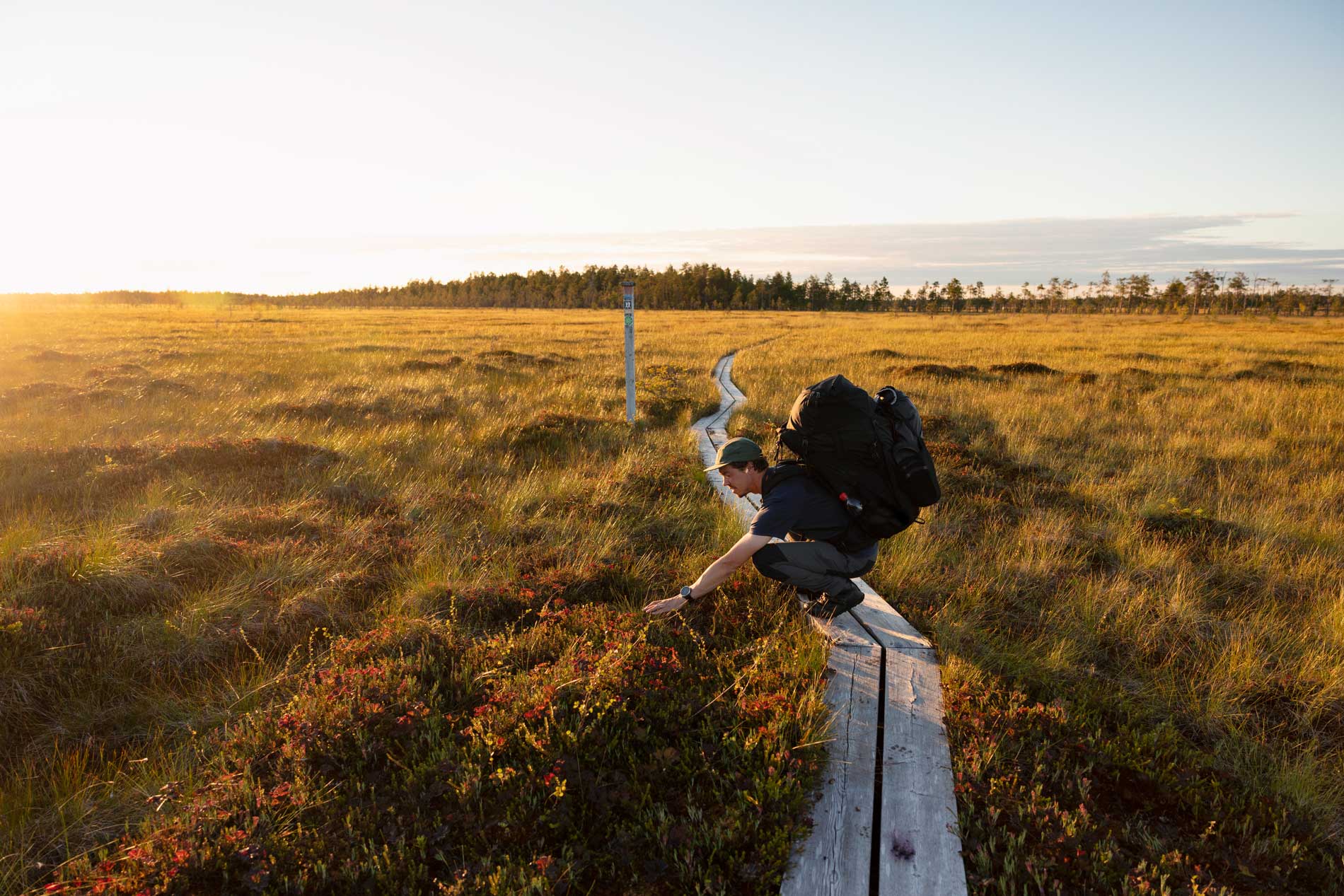 Offene Landschaften wie Moore oder Auen begeistern unterwegs im Geopark Rokua © Harri Tarvainen, Rokua Geopark