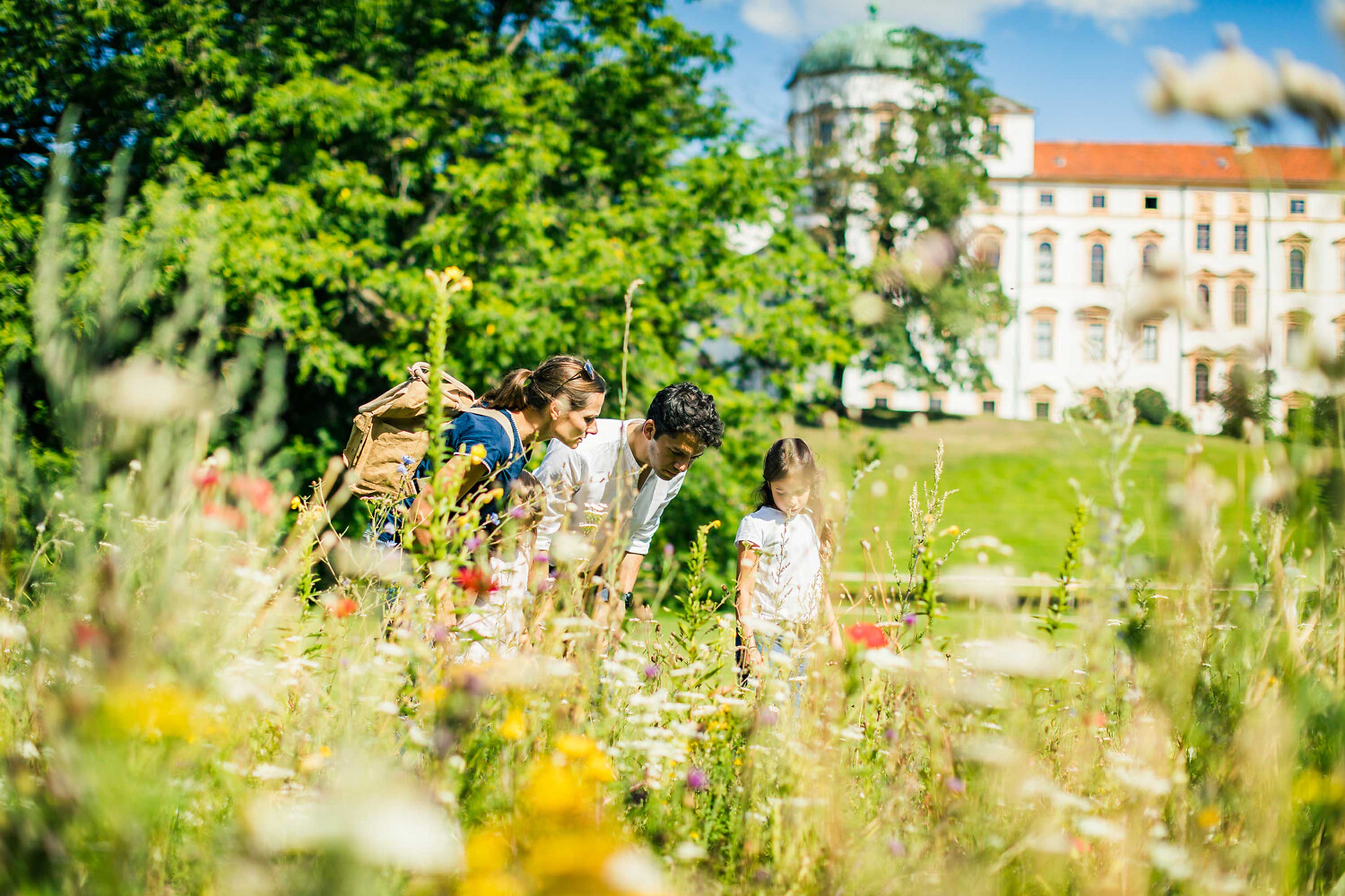 Wildblumen im Schlosspark © Stadt Celle