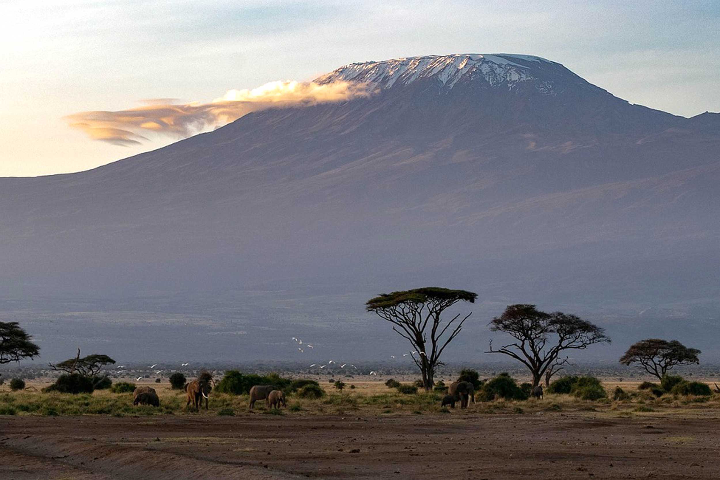 Der Kilimandscharo ragt über die Steppe in Tansania © pixabay 