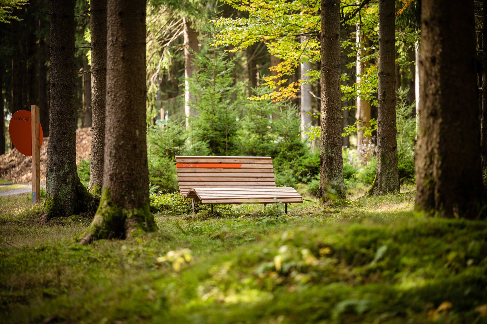 Entschleunigung auf dem Dr Wald Weg © Thomas Müller