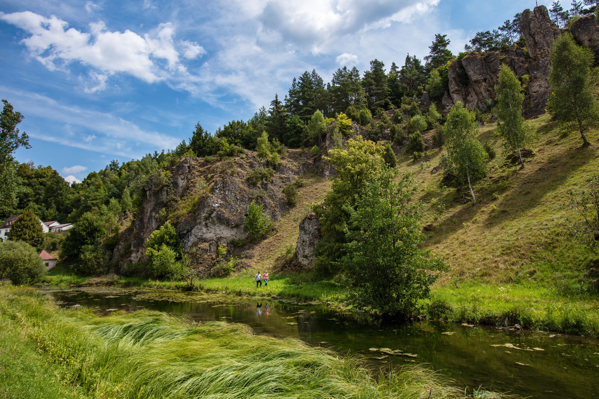 Uferlandschaft