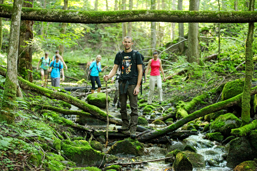Gruppe Wanderer im Wald