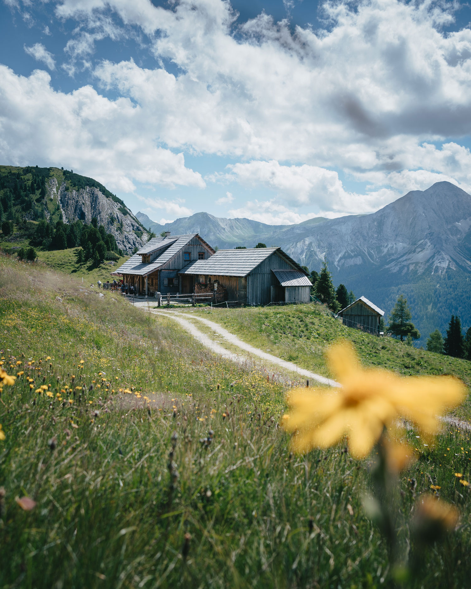 Twenger Alm bei Obertauern
