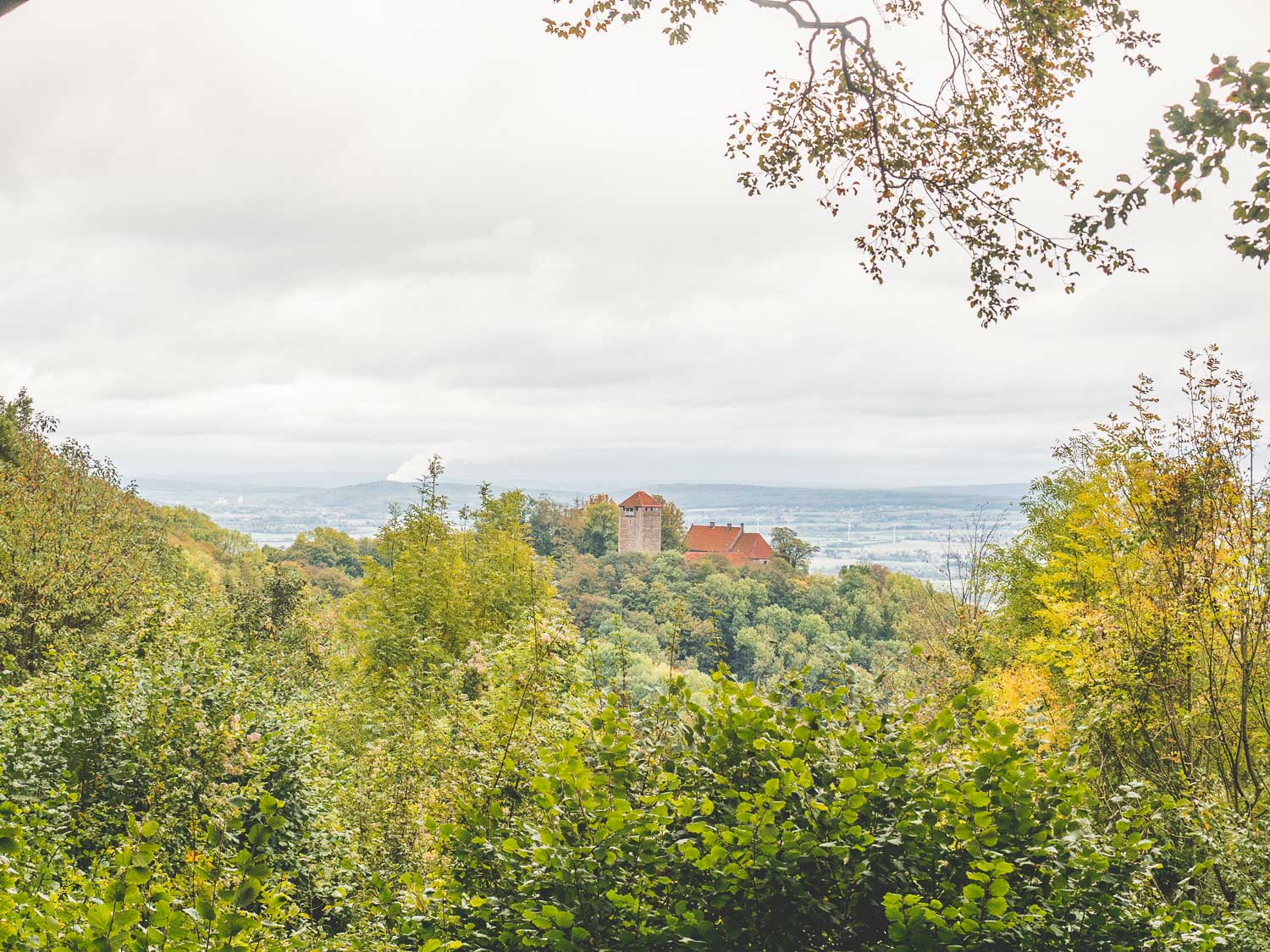 Blick auf eine Burg, im Vordergrund Wald 