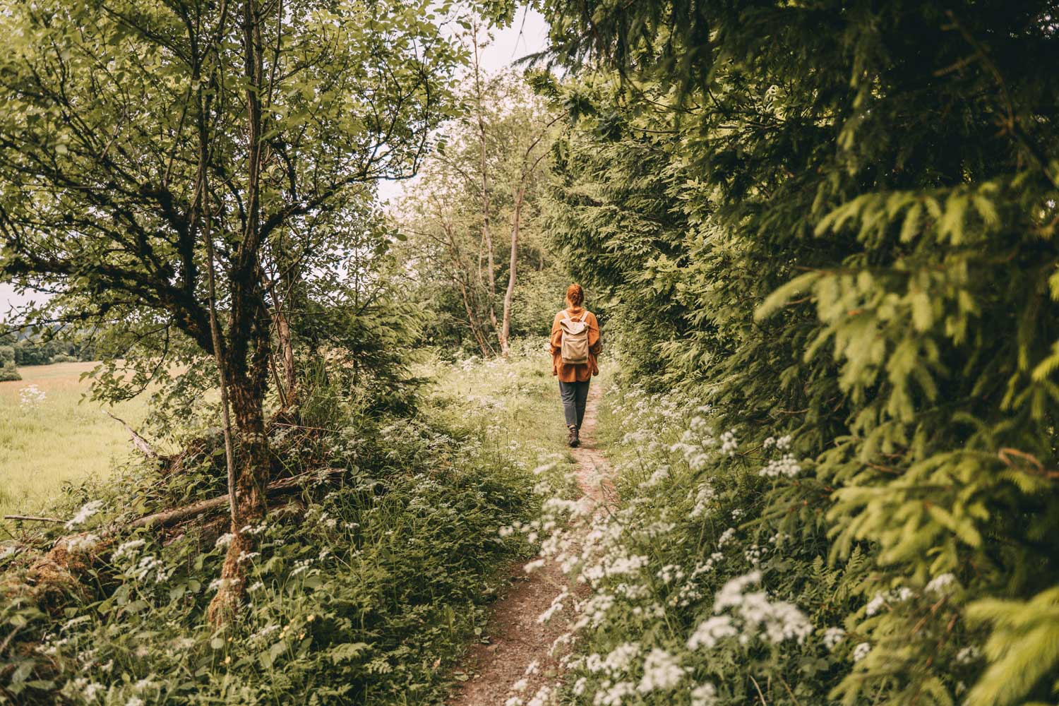 Eine Frau wandert durch den Wals 