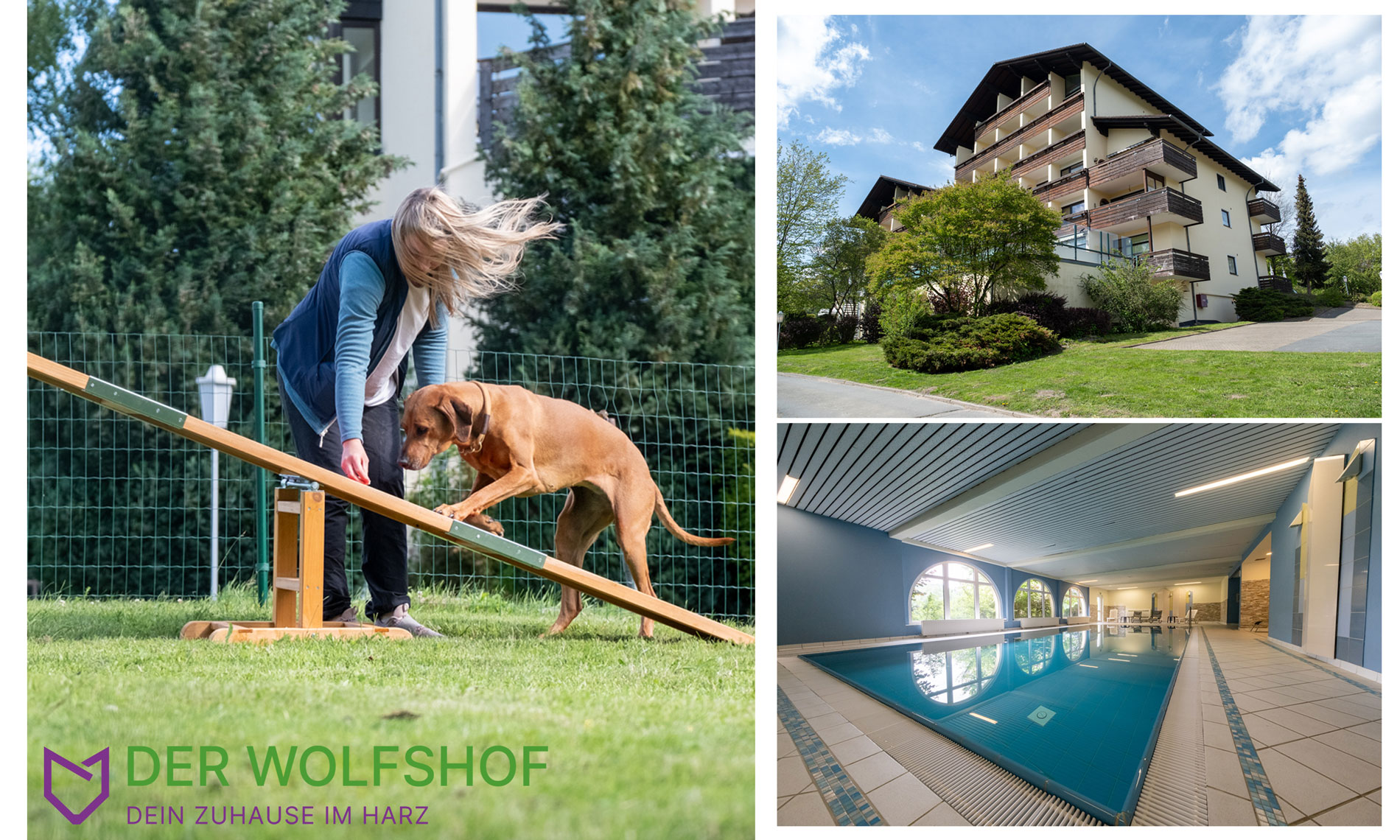 Eindrücke vom Hotel Wolfshof im Harz