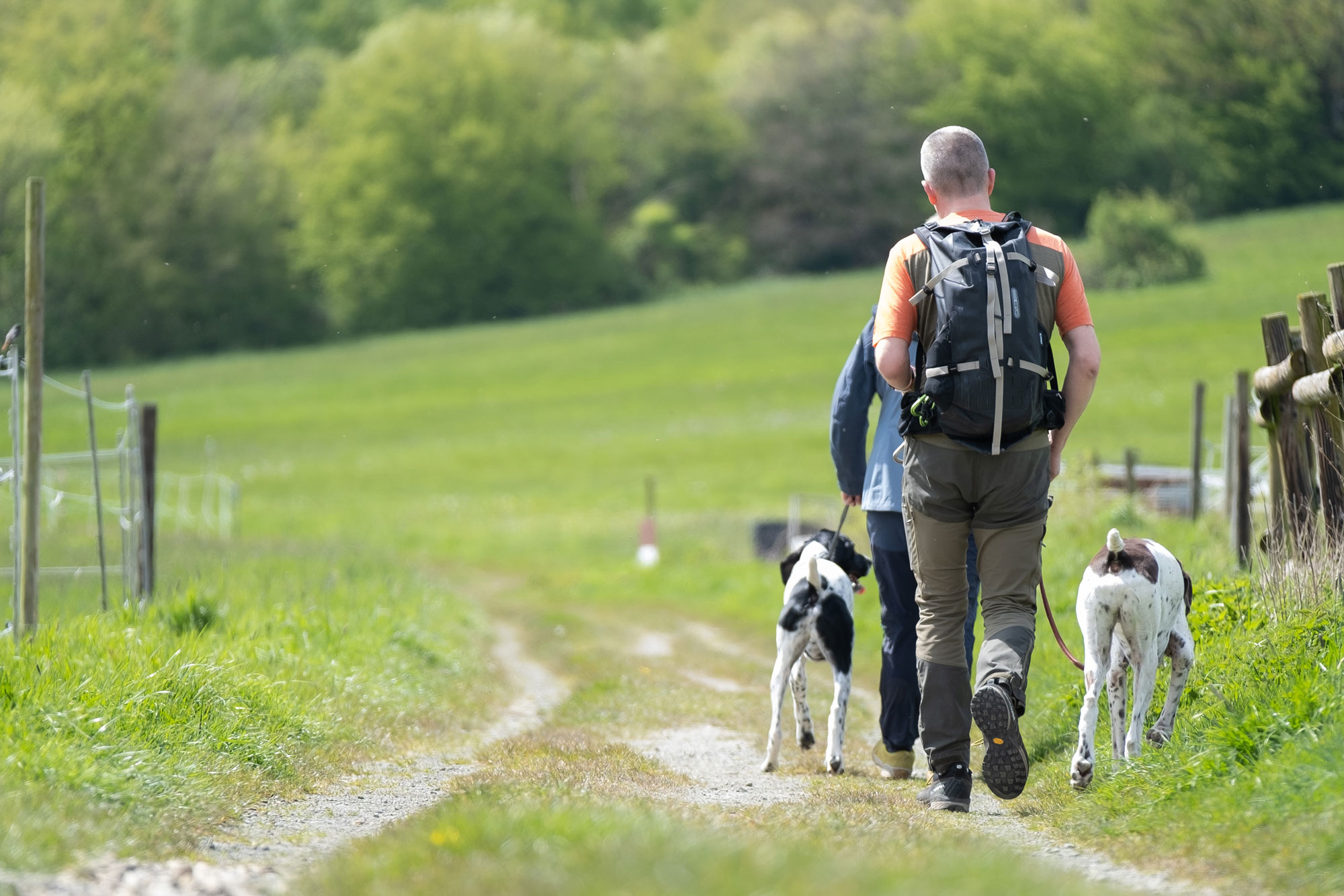 Zwei Wandernde mit Hund im Harz