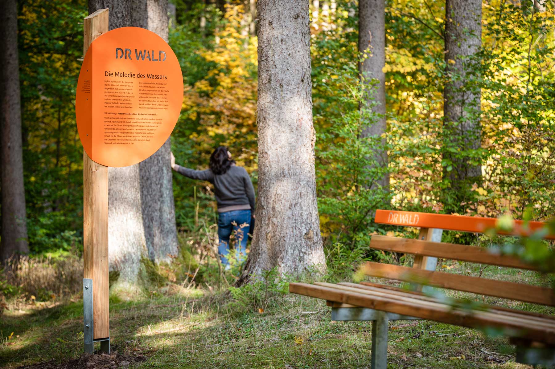 Eine Frau lehnt an einem Baum im Wald, im Vordergrund eine Bank