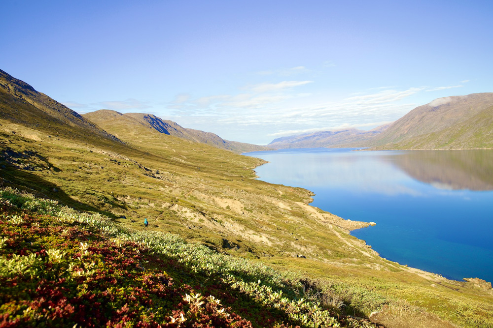 Ein Fjord umgeben von grasbewachsenen Bergflannken