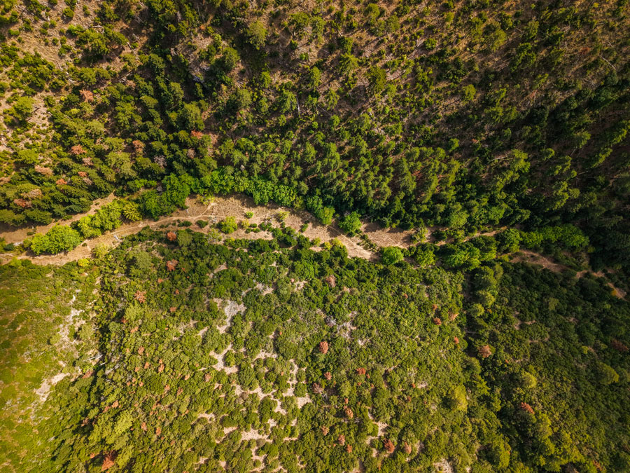 Vogelperspektive auf die Landschaft des Sparta Trails