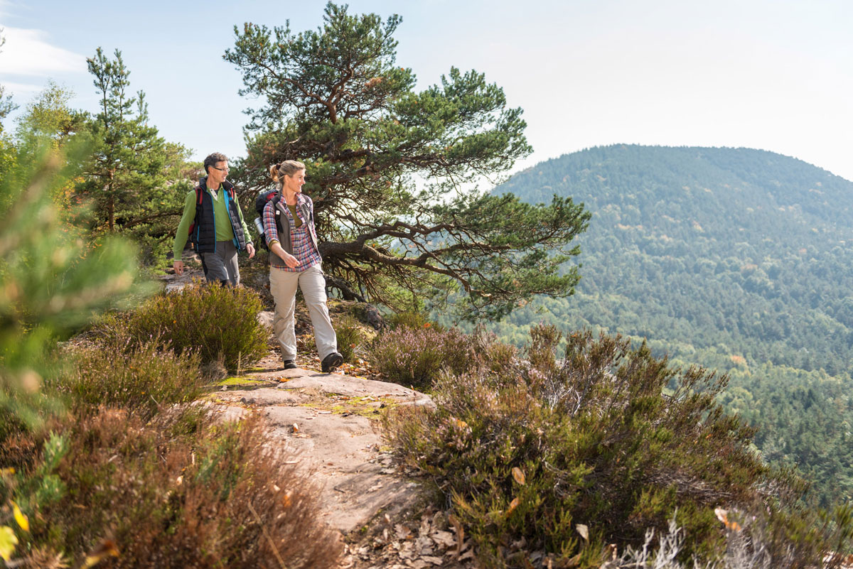 zwei Wandernde blicken zur Seite in die Ferne