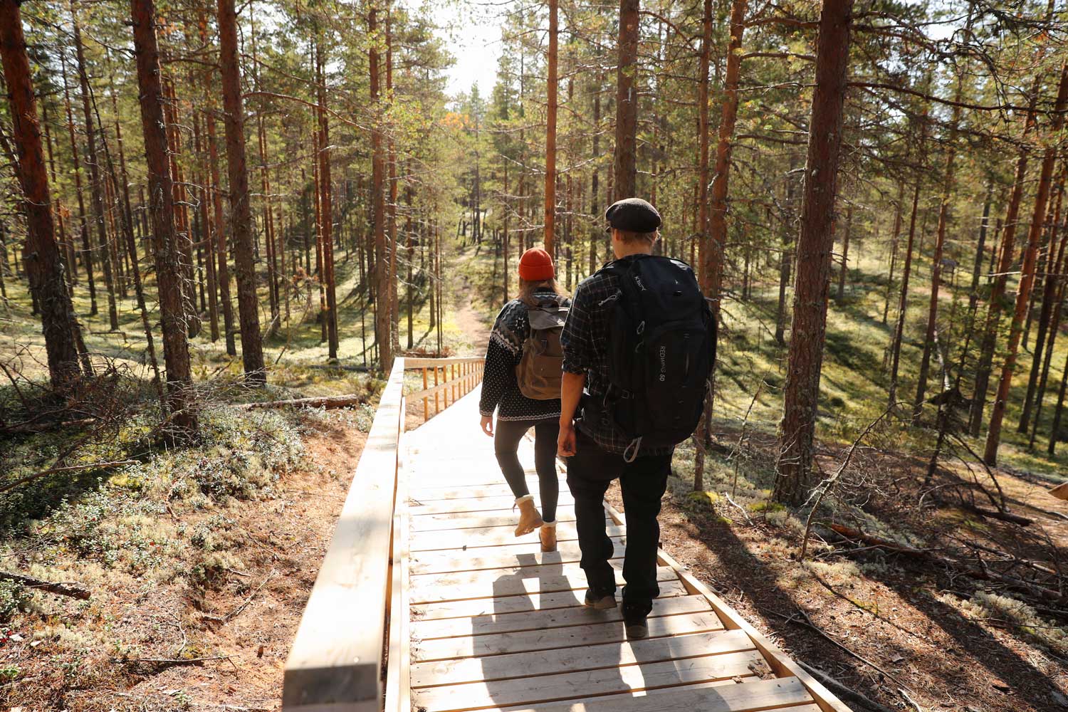 Zwei Wandernde auf Holztreppen im Nadelwald