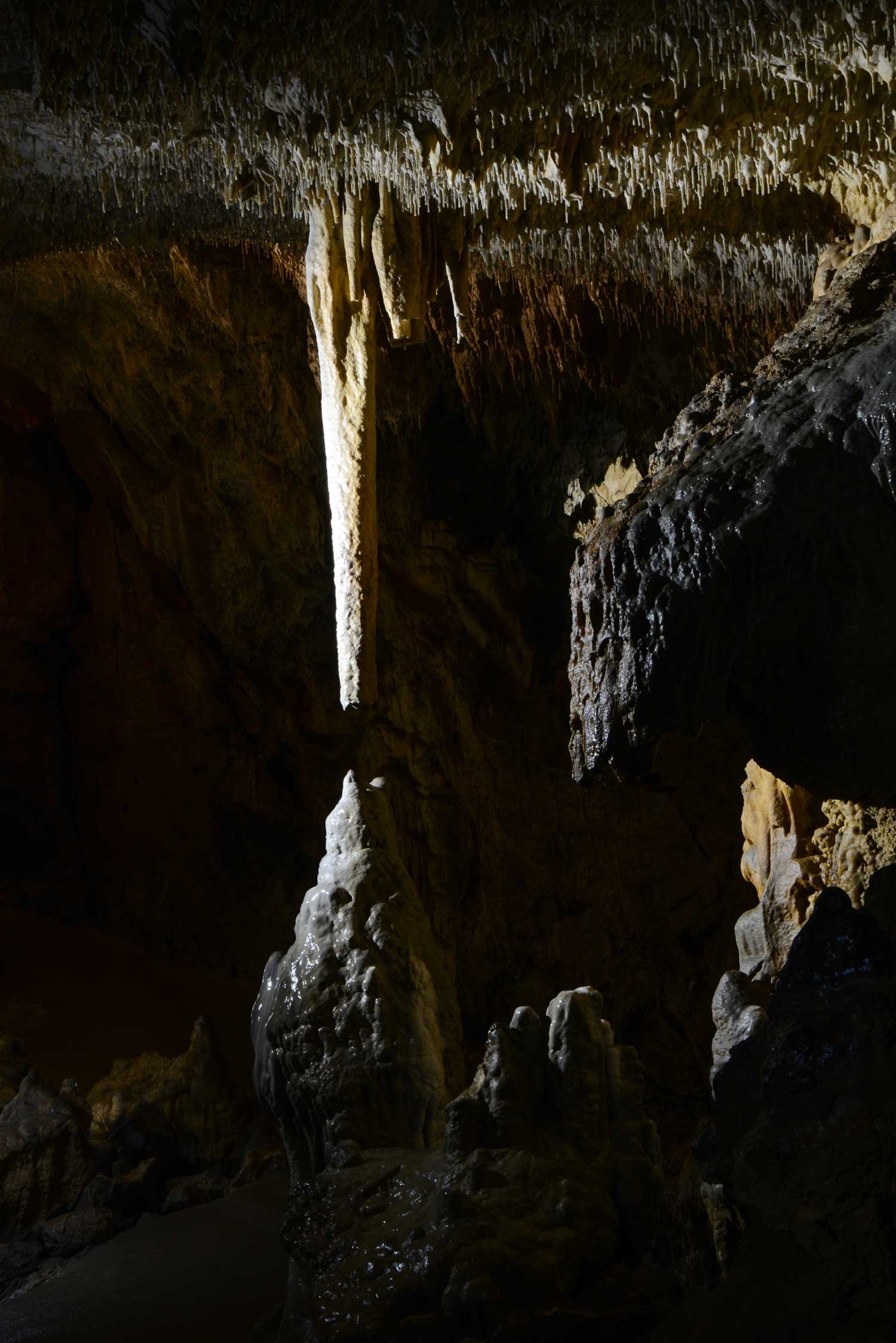 Ein Tropftstein in einer Höhle