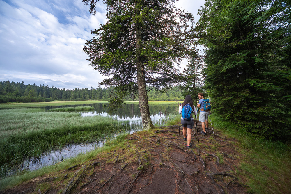Zwei Wandernde erreichen ein Gewässer mitten im Wald