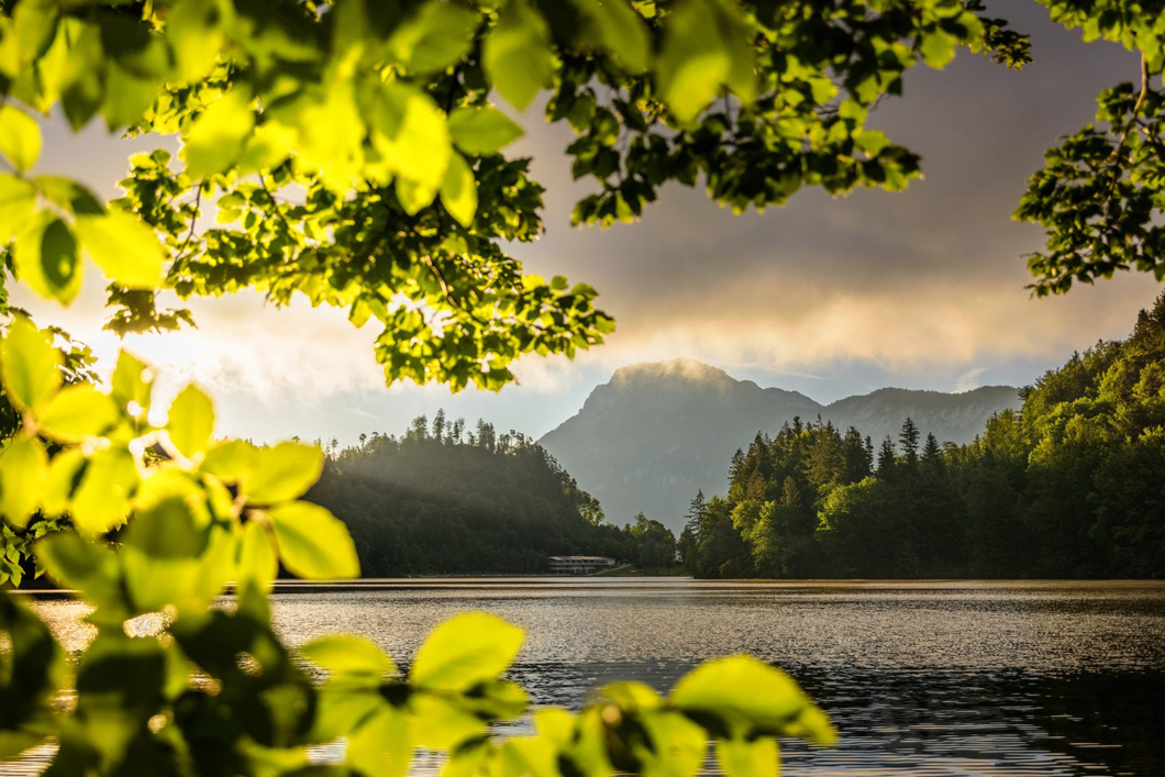 Grünes Seeufer mit der Silhouette von Bergen im Hintergrund