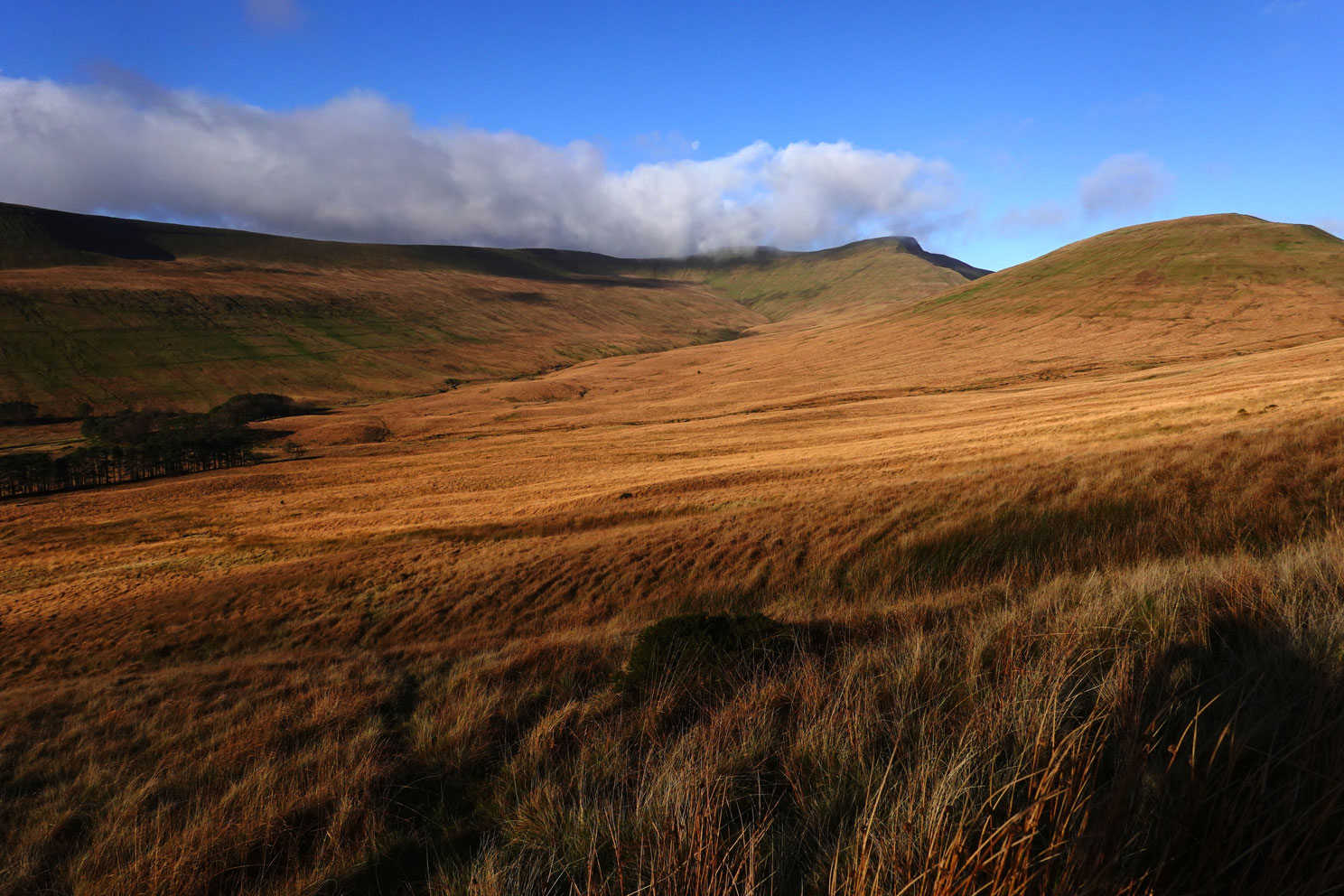 Eine grasbewachsene Hochebene
