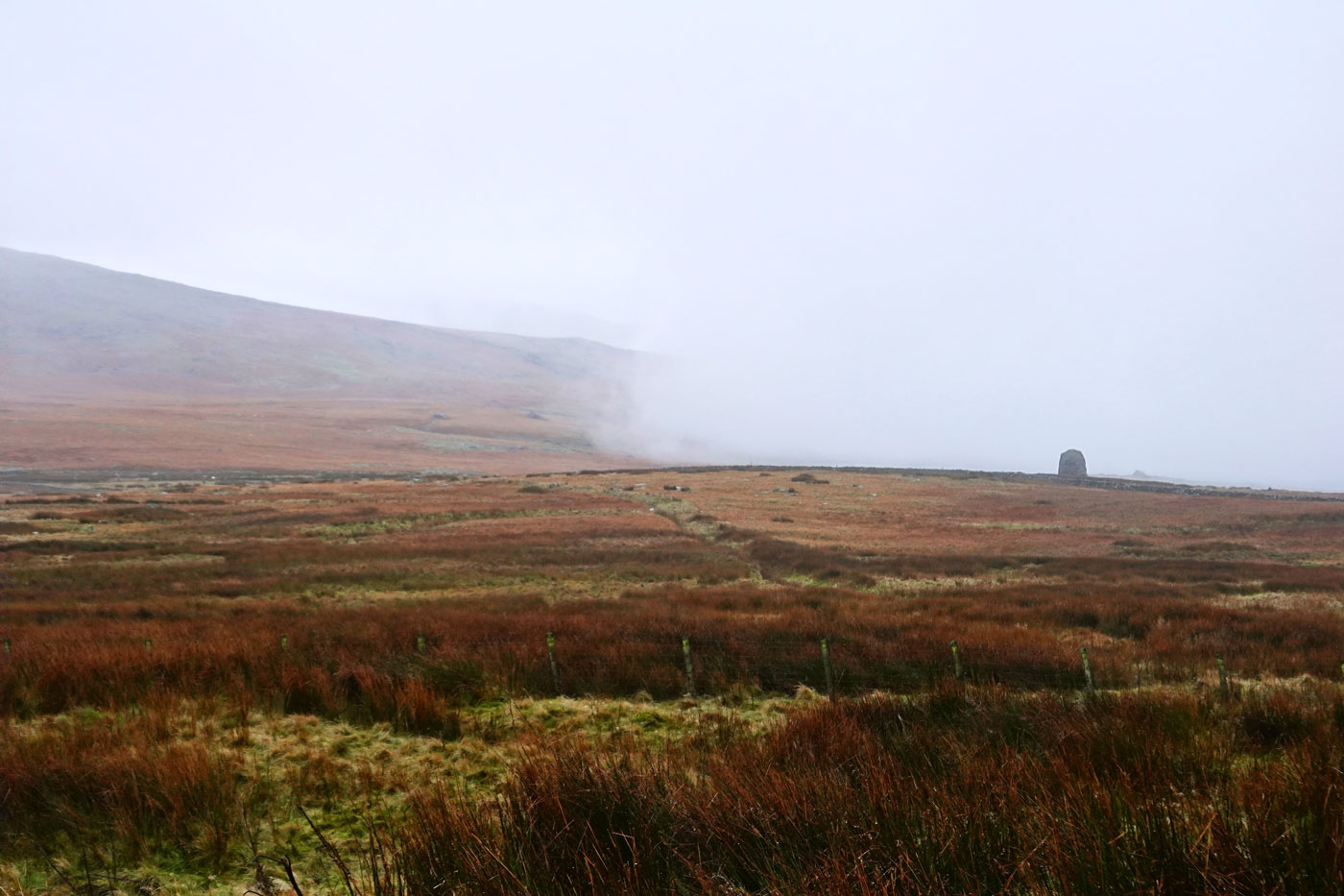 Struppig bewachsene Ebene verschwindet im Nebelmeer