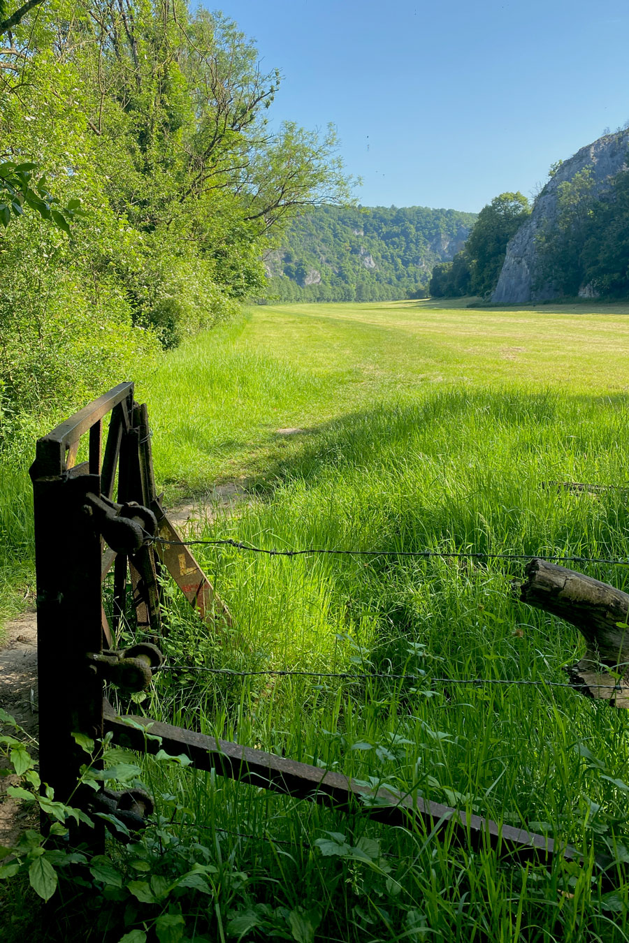 Pfad führt durch Tor auf große Wiese