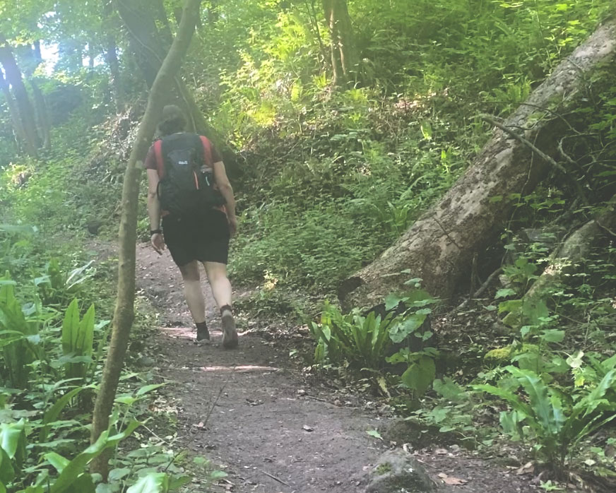 Wanderin auf Pfad durch den Wald