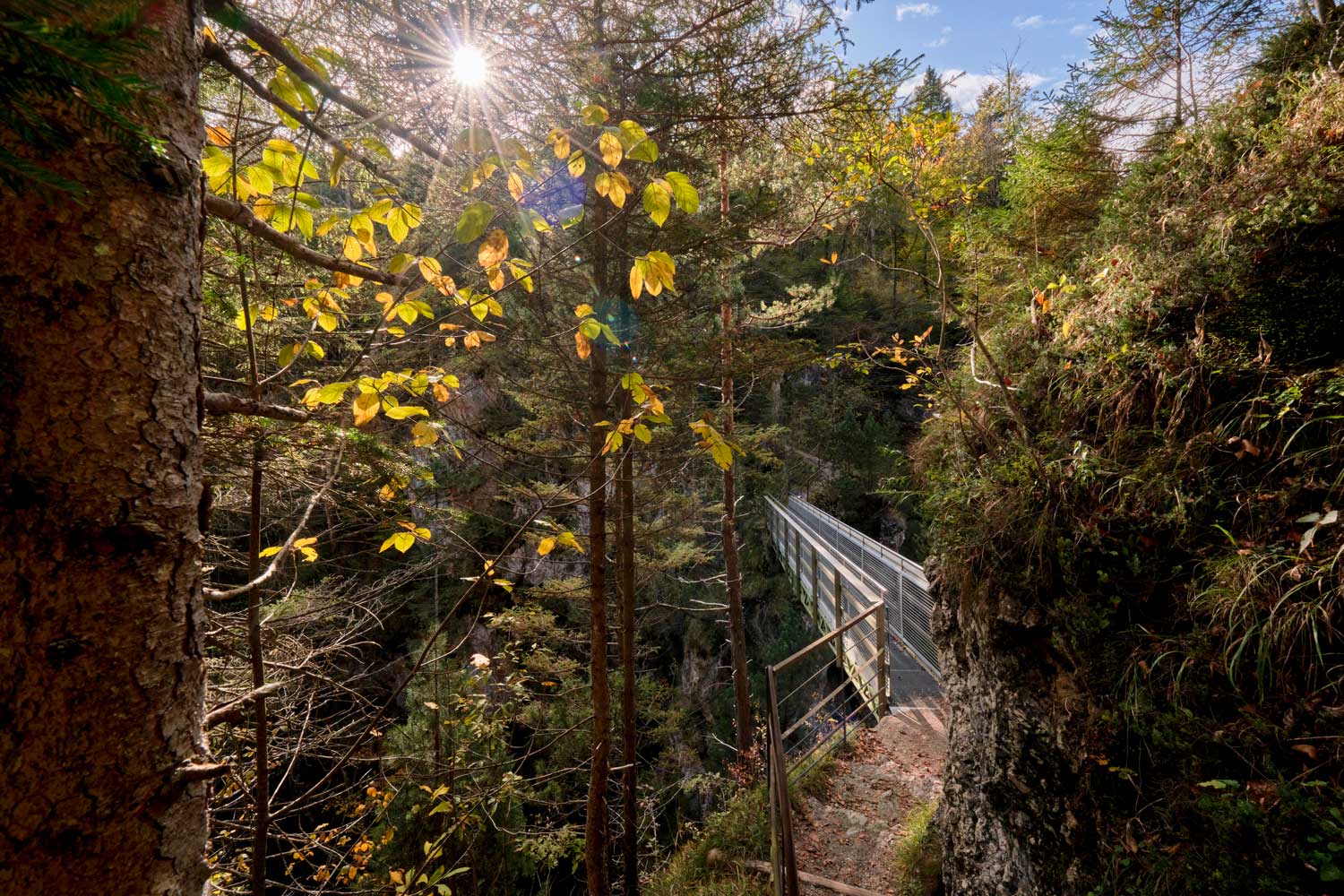 Laufsteg, Brücke über Asamkammschlucht im Zugspitzland