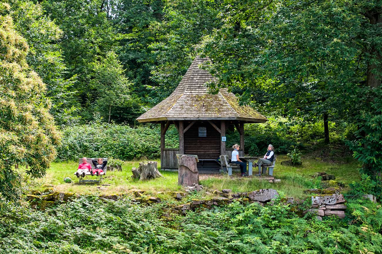 Wandernde bei einer Pause im Wald bei einer Holzhütte