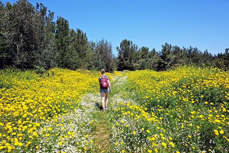 Wandermagazin - Wandern in den Fußspuren Christis – Der Jesus Trail in ...
