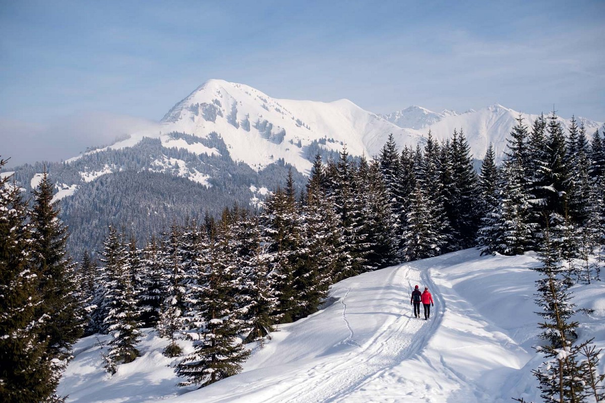 Präparierter Winterwanderweg zur Ehenbichler Alm © Tirol Werbung, Jörg Koopmann