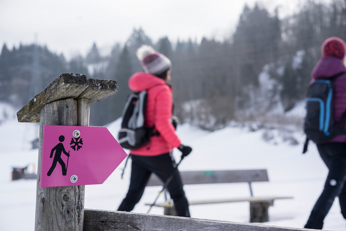 Magentafarbige Schilder weisen den Winterwanderweg © Tirol Werbung, Peter Neusser