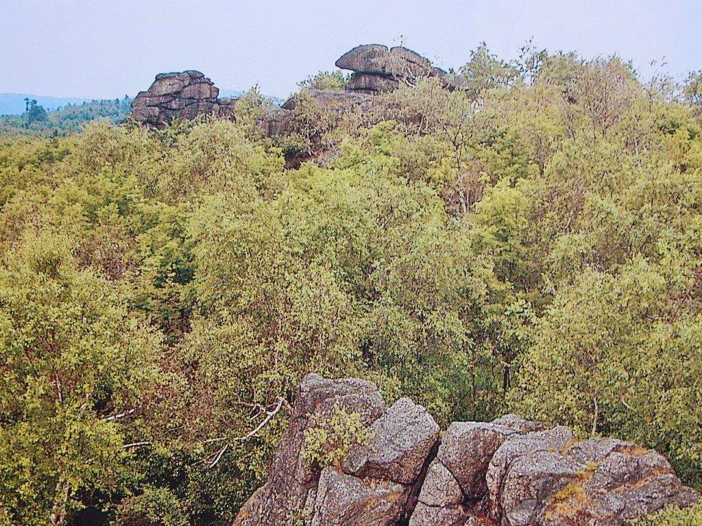 Jerabinafelsen im tschechischen Teil des Erzgebirges
