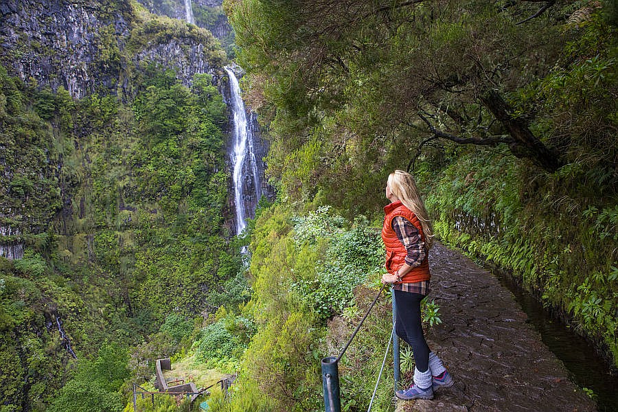 Laurissilva: Lobeerwald auf Madeira © visitmadeira