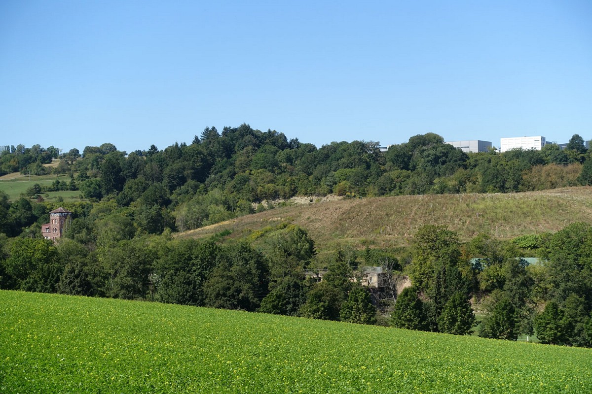 Aussichtspunkt auf der GeoTour Karlsbad: Links ist die Villa für die Besitzer der Ittersbacher Kalkwerke zu erkennen @ Dr. Andreas Megerle, Erlebnis Südwest