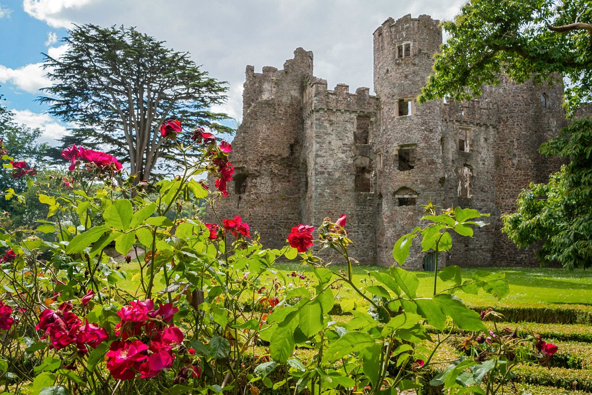 Blütenpracht vor Laugharne Castle, eine Burgruine in Carmarthenshire © Crown Copyright (2022) Visit Wales