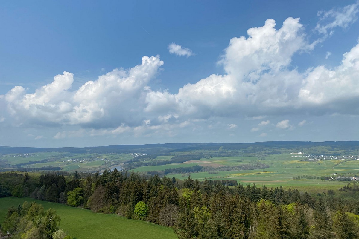 Aussicht vom Erbeskopf, dem höchsten Berg in Rheinland-Pfalz © Svenja Walter