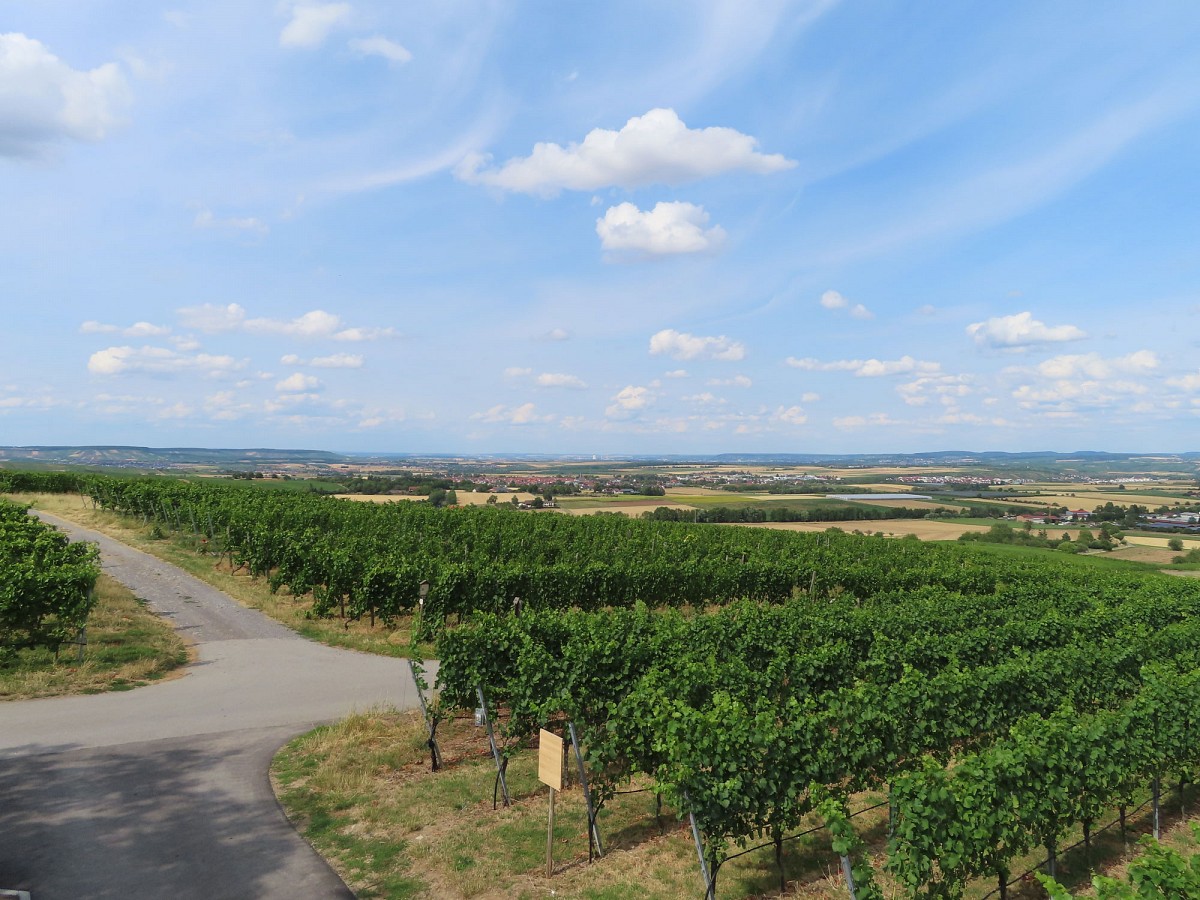Blick von der Weinkanzel nach Heilbronn 
